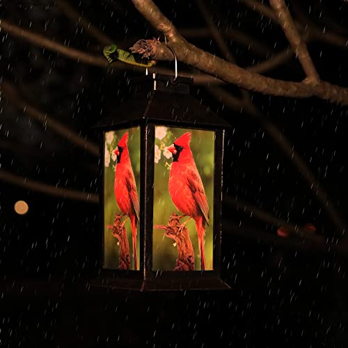 KYAYE Hanging Solar lamp PVC Outdoor Waterproof LED lamp Retro Style red Bird lamp, Garden Wedding Family Decoration Pendant lamp or Table lamp (1 Pack)