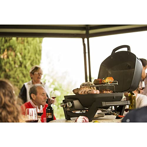 Napoleon PRO285N-BK Portable Natural Gas Grill, Black