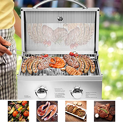 ORALNER Portable Gas Grill 20,000 BTU Stainless Steel Grill Tabletop Propane BBQ Griddle w/Foldable Legs, Gas Hose, 266 Sq.in Cooking Area, 2 Burner Gas Grill for Outdoor Camping, Tailgating, Picnic