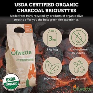 Olivette Organic Charcoal Briquettes for Grilling BBQ, USDA Organic Certified | 100% Recycled Olive Tree Byproducts