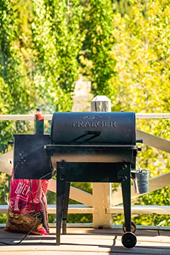 Traeger Grills Tailgater 20 Portable Wood Pellet Grill and Smoker, Black