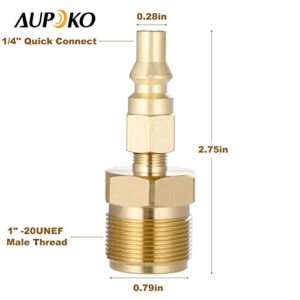 Aupoko 1/4" Quick Connect Disconnect Plug, with 1 Bottle Tank Propane Adapter, Low Pressure Plug Convert for BBQ Grill, Heater