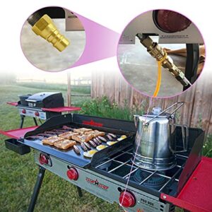 MENSI New 3/8" Quick Key to Hook Up Your Low Pressure Natural Gas Grill with RV's Quick-Connect with 3/8" Female Flare Joint