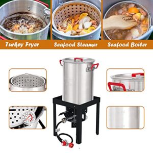 Creole Feast TFP1030 Turkey and Fish Fryer Pot Seafood Boiler Steamer Kit, 50000 BTU Propane Gas Burner, Silver