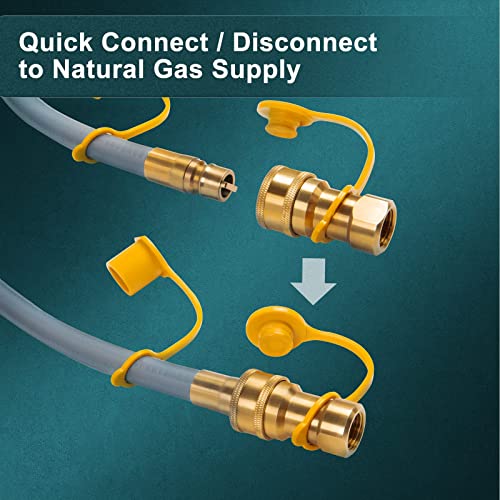 GASPRO 12 Feet 3/8-Inch Natural Gas Hose, Comes with An Extra Set of Quick Connect Fittings, Fit for Natural Gas Grill, Solid Brass