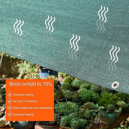 ALBN 75% Shade Netting Sunblock Shade Cloth Net Mesh Tarp HDPE UV-Resistant Protection Plants Flowers Outdoor Shade Screen, with Rope (Color : Green, Size : 1x1.5m)