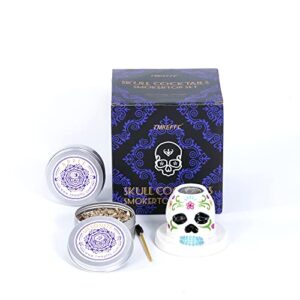 TMKEFFC Cocktail SmokeTop Kit in Colorful Skull Design, Smoker Top with Wood Chips, Smoked Drinks Wine Whiskey Bourbon Old Fashioned Smoking Tools