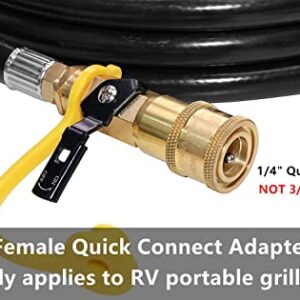 DOZYANT 6 Feet Quick Connect Propane Hose with Regulator Replacement for Olympian 5100, 5500 RV Grill Parts and Other Low Pressure LP Gas Grill, Heater, 1/4" Female Quick Connect Adapter x Acme Nut