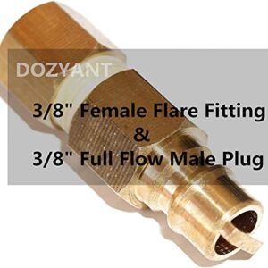 DOZYANT 5 feet Propane Regulator Hose and 3/8 inch Female Quick Connect for Mr Heater F271803 Big Buddy Indoor Outdoor Heater and Most Gas Grill, Fire Pit