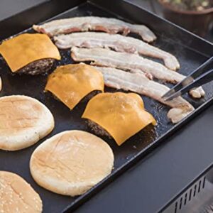 Portable Flat Top Propane Gas Grill and Cover