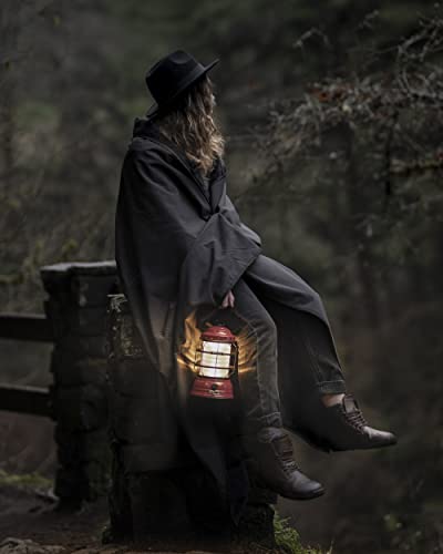 Barebones Bronze Forest Lantern - Vintage, Rechargeable, Adjustable Brightness (Red)