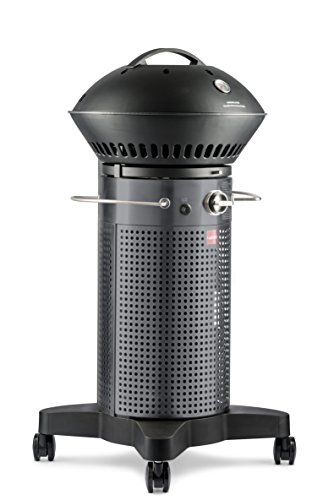 Fuego Element F21C Carbon Steel Gas Grill LP