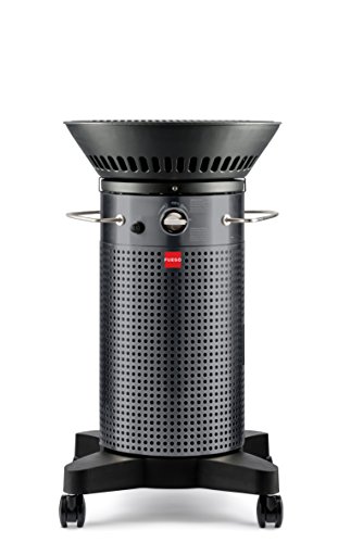 Fuego Element F21C Carbon Steel Gas Grill LP