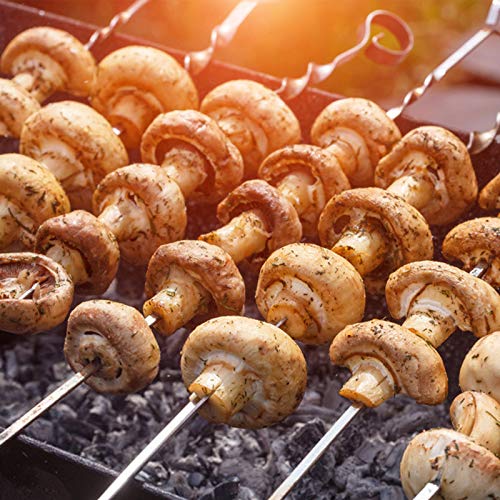 MojiDecor Grill Kabob Skewers, 10 Pcs 15 inch Barbecue Skewers, Flat Metal BBQ Kebab skewers for Veggies, Shrimp, Chicken and Pork