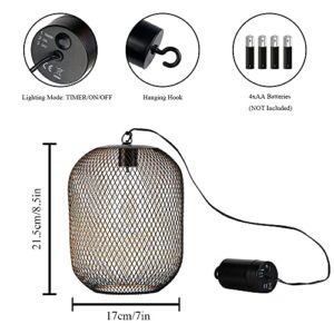 TRIROCKS Battery Operated Hanging Lamp 8.5'' High Metal Mesh Lanterns with Warm Fairy Lights Bulb Perfect for Christmas Home Living Room Garden Patio Parties Events Tabletop Indoors Outdoors (Black)