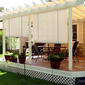 LJIANW Sun Shade Sail, Roller Shade Blinds Translucent Sun Shade Sunscreen Heat Insulation Privacy Protection for Gazebo Deck Balcony, 45Sizes (Color : Beige, Size : 75x225cm)