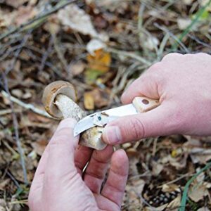 Esschert Design Mushroom Knife with Brush