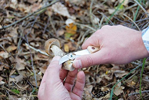 Esschert Design Mushroom Knife with Brush