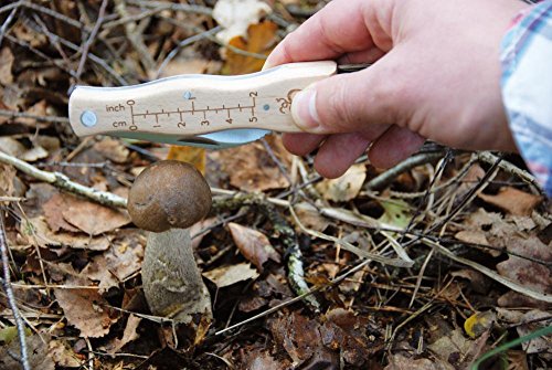 Esschert Design Mushroom Knife with Brush