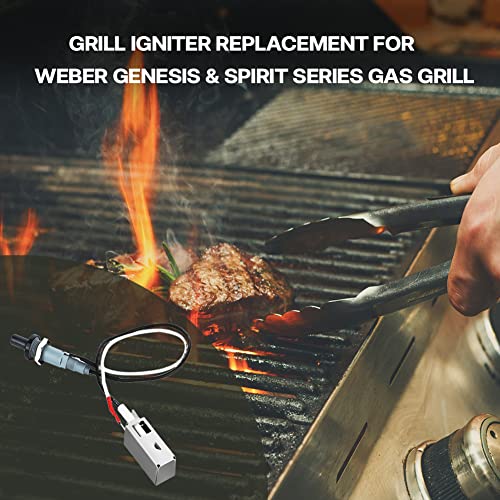 Apromise Grill Igniters - Grill Igniter Replacement for Weber Genesis Platinum Ⅰ&Ⅱ, Genesis Silver/Gold Pre-2002 Gas Grill Models