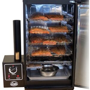 Bradley Smoker BS611 4-Rack Outdoor Electric Smoker, Natural Draft Smoker