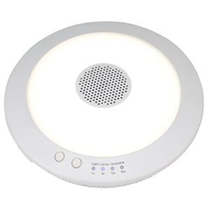 good earth lighting led indoor/outdoor rechargeable bluetooth speaker light - white, ip65, 4000k, 150 lumens, light timer, usb charging cord included, 30,000 hour rated lamp life
