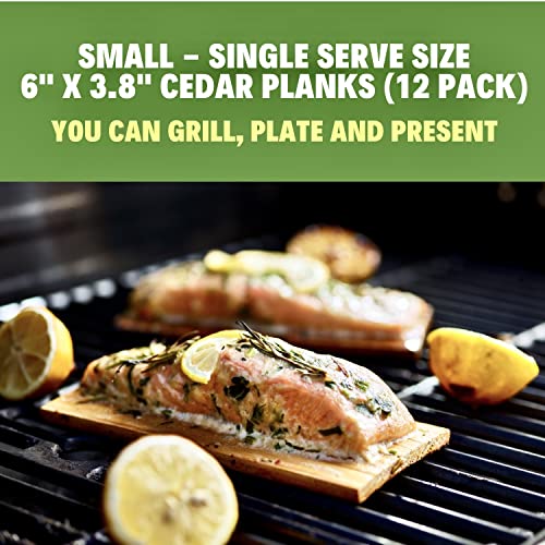 East Coast Cedar Small Planks for Grilling Salmon Made from 100% Natural Maine White Cedar -12 Pack - Adds a Delicious Smokey Flavor - 6" X 3.8" Inches