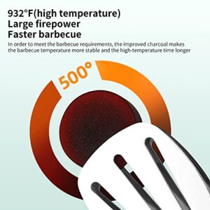 Upgrade Disposable BBQ Grill Stainless Steel Portable Easy Lighting Grill Outdoor Charcoal Grill For Outdoor Picnic Patio Backyard Camping Cooking Can Last 2 Hours (Dimensions: 33*22*6cm) (Black)