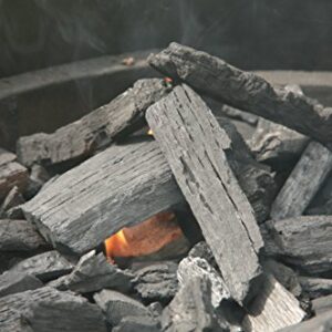 BIG CP 20-pound bag of natural lump charcoal