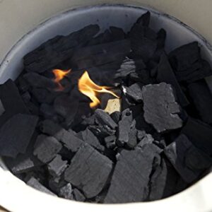 BIG CP 20-pound bag of natural lump charcoal