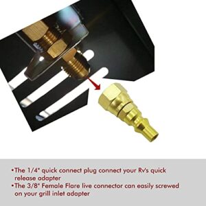 Propane Gas BBQ Grill, Heater Appliance 1/4" Quick Key to Hook Up Your Low Pressure RV's Quick-Connect