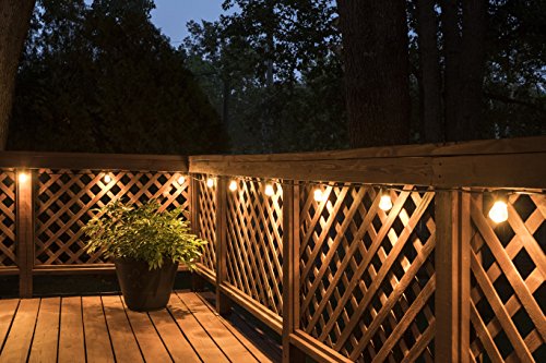 Lights By Night LED Bistro String Lights 12 ft | 6 Shatter Resistant Lifetime Bulbs, 2200K Warm White, Weather Resistant, Indoor/Outdoor, Commercial Grade, Perfect for Backyard, Porch, Patio, 38353