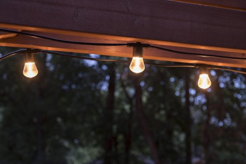 Lights By Night LED Bistro String Lights 12 ft | 6 Shatter Resistant Lifetime Bulbs, 2200K Warm White, Weather Resistant, Indoor/Outdoor, Commercial Grade, Perfect for Backyard, Porch, Patio, 38353