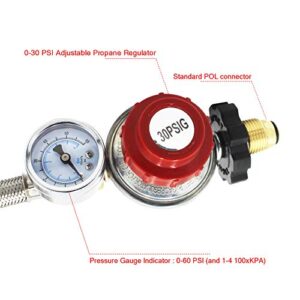 MCAMPAS 12 FT 0-30 Psi Adjustable High-Pressure Propane Regulator with Gauge 0~60PSI Gas Flow Indicator,3/8" Flare x 1/8" MNPT,Stainless Braided Hose with Soft-Nose Male POL Valve Regulator