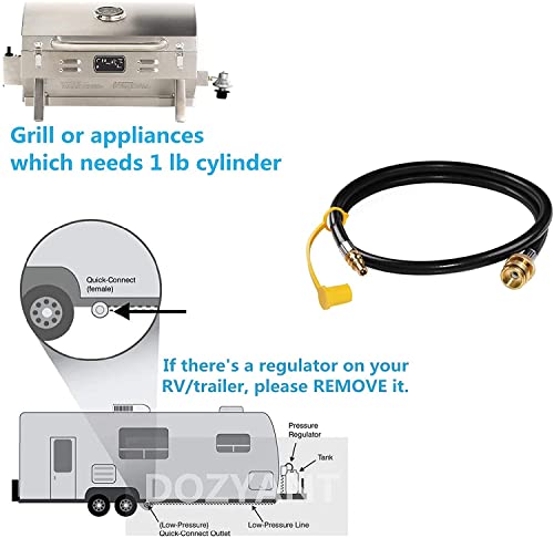 DOZYANT 12 Feet 1/4" Quick Connect RV Propane Hose Converter Replacement for 1 lb Throwaway Bottle Connects 1 LB Bulk Portable Appliance to RV 1/4" Female Quick Disconnect