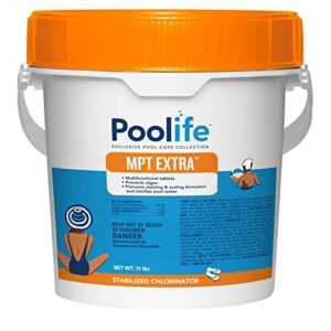 poolife MPT Extra (11 lb)