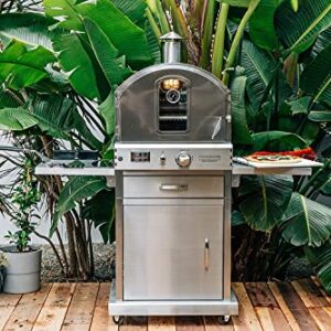 AMS Fireplace Summerset Freestanding Pizza Oven | Large Capacity Propane Gas Outdoor Pizza Oven with Pizza Stone and Smoker Box & Mobile Cart | 304 Stainless Steel Construction | FREE Tabletop Fire Pit (Propane Gas)