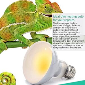 Abustle pig Basking Spot Daylight Lamp 75W UVA Heat Bulb Soft White Light Glass Basking Bulb Heat Lamp for Bearded Dragon, Reptile & Amphibian(2 Pack)