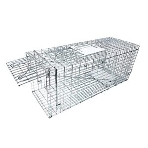 large collapsible humane live animal cage trap no-kill trapping kit for humane catch release rabbits, stray cat, squirrel, raccoon, other fit sized animals, heavy duty, 2-door -31" x 11.5" x 12.5"