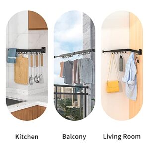 PLKO Retractable Clothes Drying Rack,Wall Mounted Clothes Hangers，Space Saver Laundry Drying Rack for Balcony,Laundry,Bathroom,Patio and Bedroom (2-Pole White)