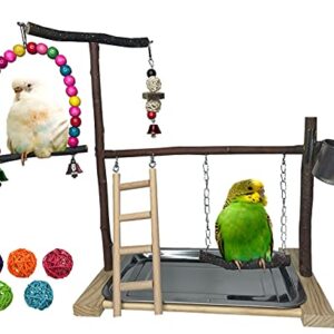 Bird Playground Parrot Playstand Parakeet Gym Playpen Cockatiel Play Stand Wood Perch Exercise Activity Center Ladders Feeder Cups Cage Accessories Swing Chew Toys for Cockatoo Budgie Lovebird Finch