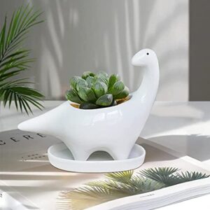 GeLive White Dinosaur Ceramic Succulent Planter Flower Plant Pot Window Box with Saucer Cartoon Animal Decor