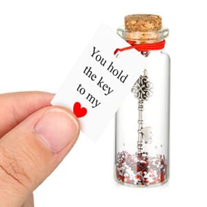 anniversary romantic gift for her you hold the key to my heart romantic bottle, tiny glass love wish jar romantic message with bottle, gifts for anniversary(classic style)
