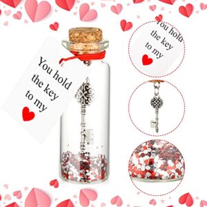 Anniversary Romantic Gift for Her You Hold The Key to My Heart Romantic Bottle, Tiny Glass Love Wish Jar Romantic Message with Bottle, Gifts for Anniversary(Classic Style)