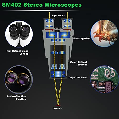 SVBONY SM402 Microscope for Adults, Professional Trinocular Stereo Zoom Microscope, with WF10x Eyepieces, 0.7X-4.5X Zoom Objective, LED Lighting, Large Pillar-Style Table Stand