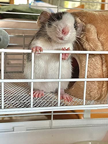 WOLEDOE Rat Cage Platform, All-Metal Basket Chew-Proof Design, Chinchilla Toys and Cage Accessories Ledge Ramp fit Ferret, Guinea Pig, Sugar Glider