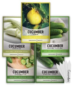 cucumber seeds for planting outdoors 5 variety pack armenian, boston pickling, lemon, spacemaster, straight eight veggie seeds by gardeners basics