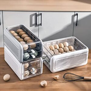 Generic Egg Holder/Container for Refrigerator, Large Capacity, High Quatily, Fresh MultiLayer Box Fridge for Chicken Egg, Storage Kitchen Organization, Chic Design (Gray, Medium 2-Layer 24 eggs)