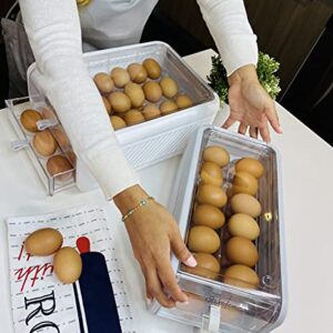 Generic Egg Holder/Container for Refrigerator, Large Capacity, High Quatily, Fresh MultiLayer Box Fridge for Chicken Egg, Storage Kitchen Organization, Chic Design (Gray, Medium 2-Layer 24 eggs)