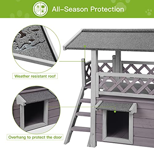 Cat House with Door for Feral Cats, Rainproof Outside Kitty House, 2 Story Wooden Kitten Condo with Stairs (AIR09-BS)